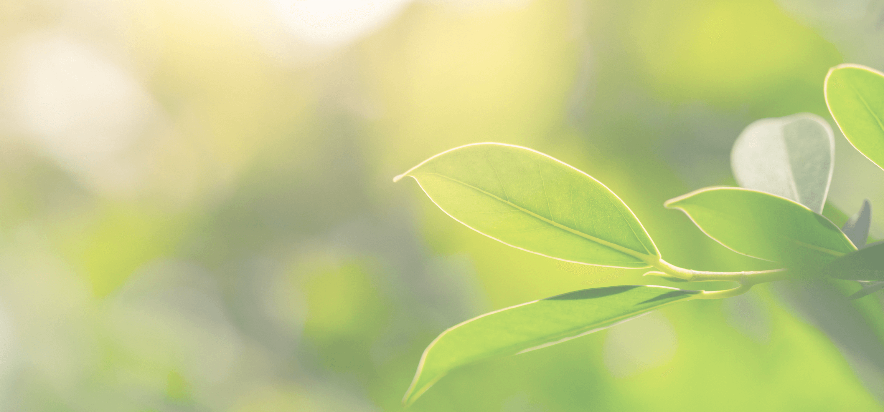 Pepin County Housing Authority Rental Communities Apartments in